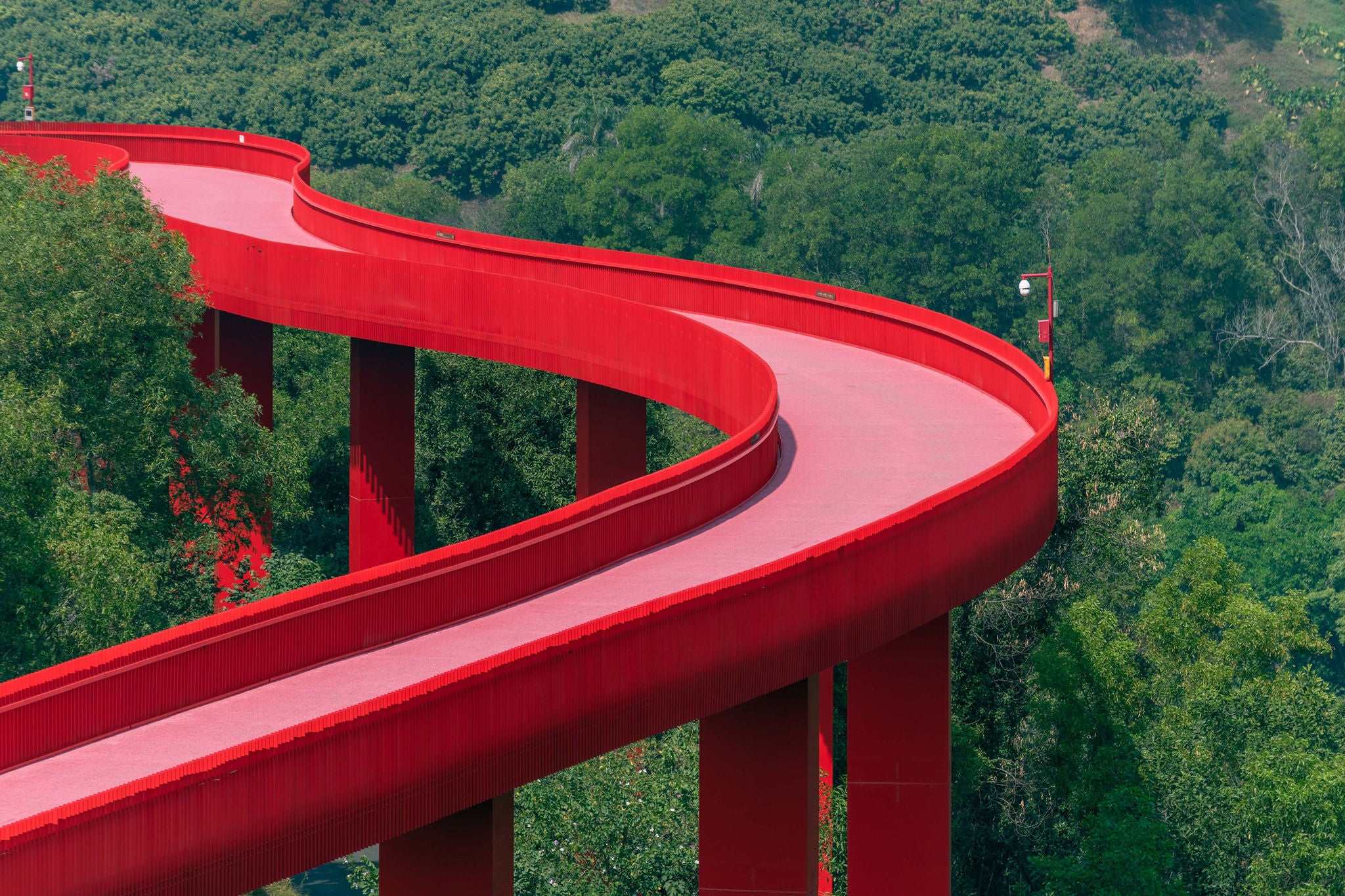 A long red winding bridge shuttles through the forest in Hongqiao Park, Guangming New District, Shenzhen, Guangdong, China